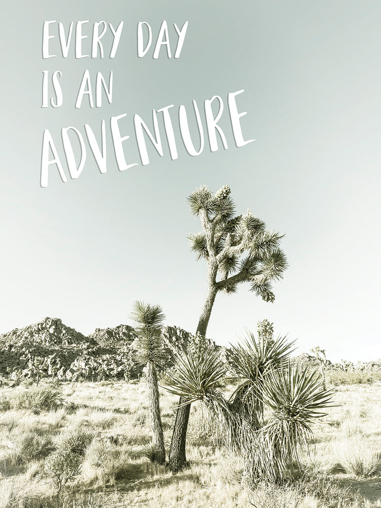 Every day is an adventure - Desert impression