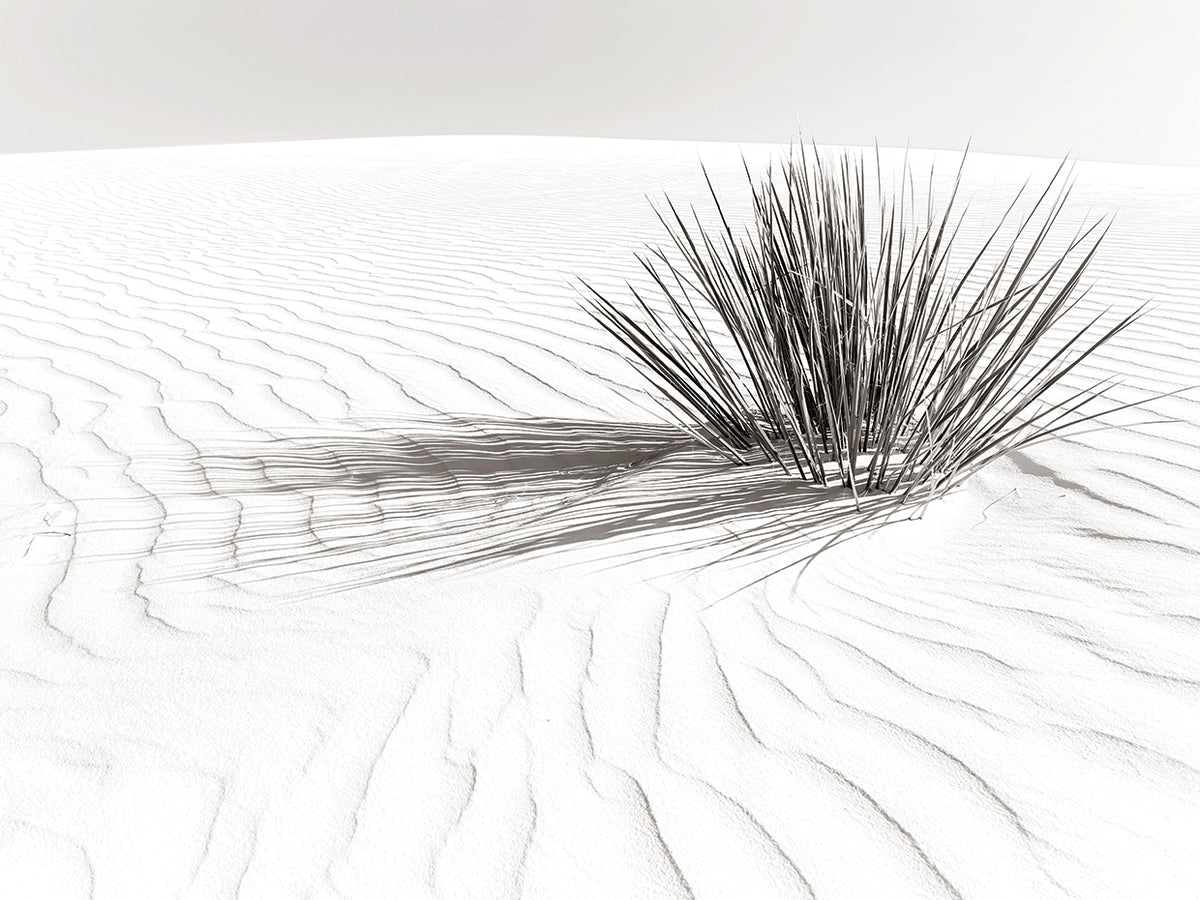Traces in the sand