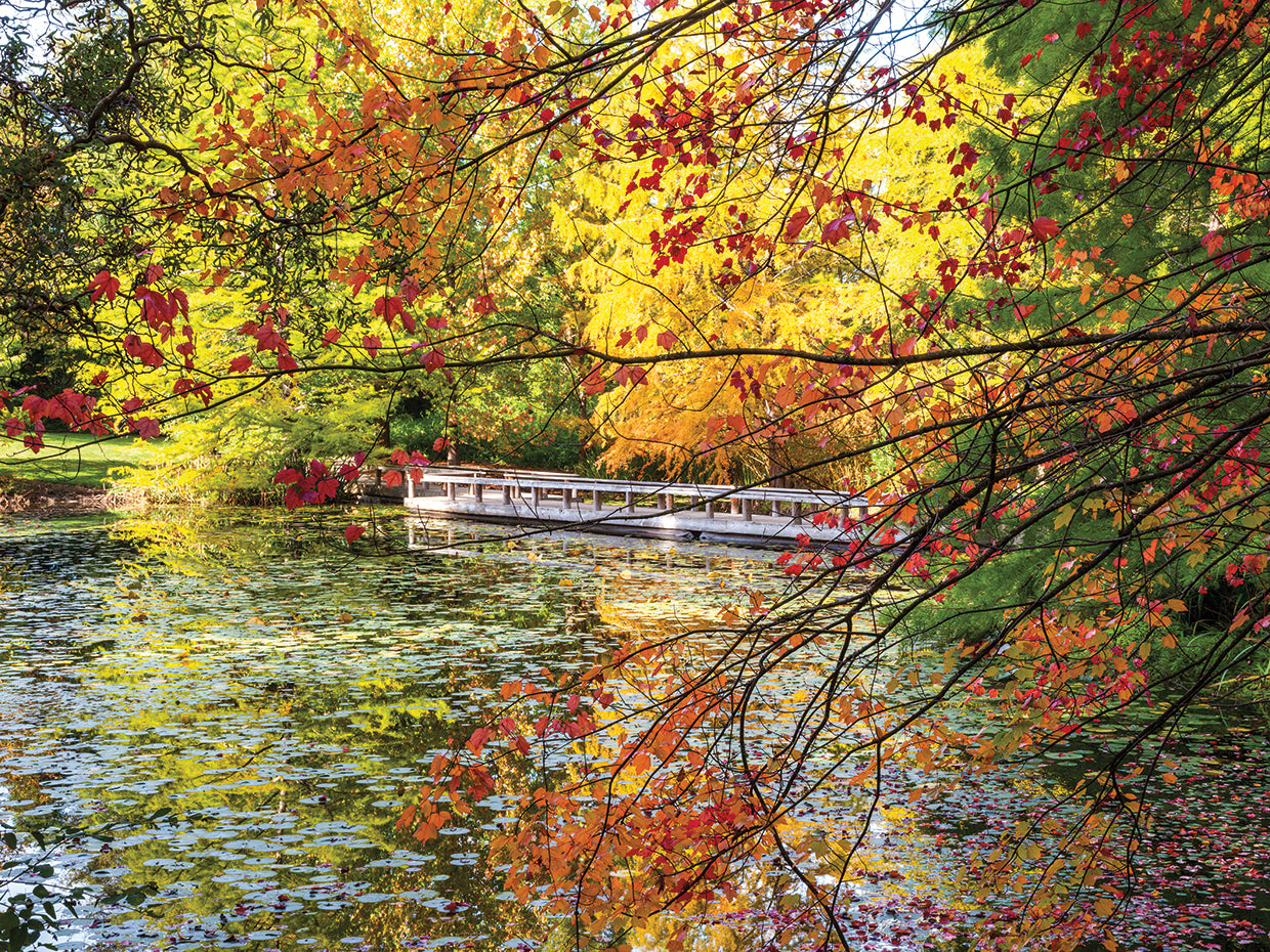Fall Beauty