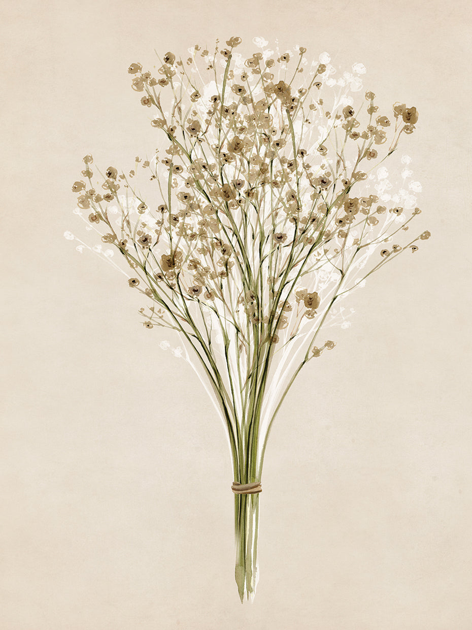 Vintage Dried Bunch III