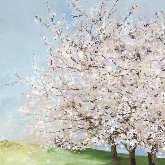 Blossom Orchard
