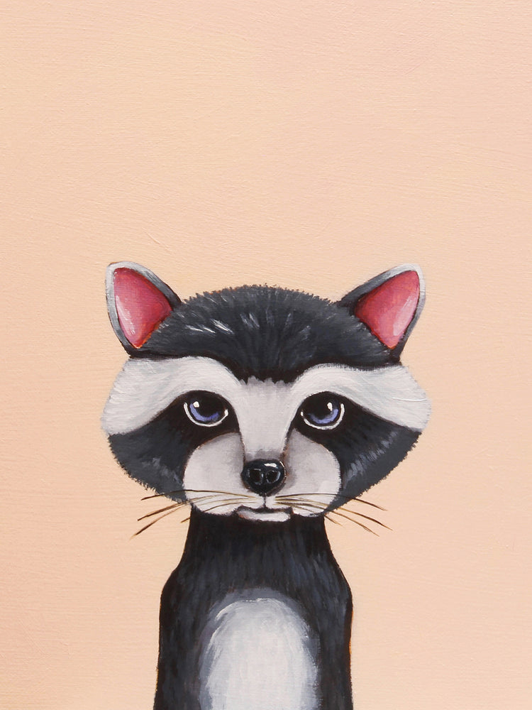 Baby Raccoon