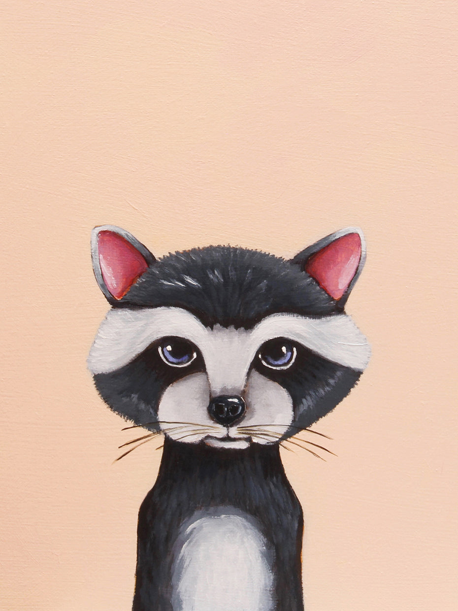 Baby Raccoon
