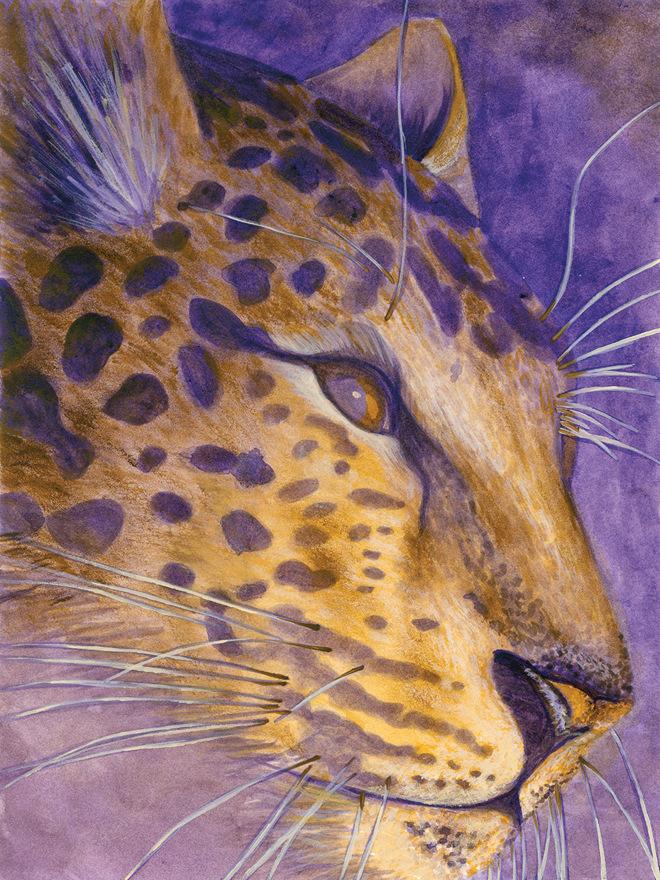 Leopardo Lienzo