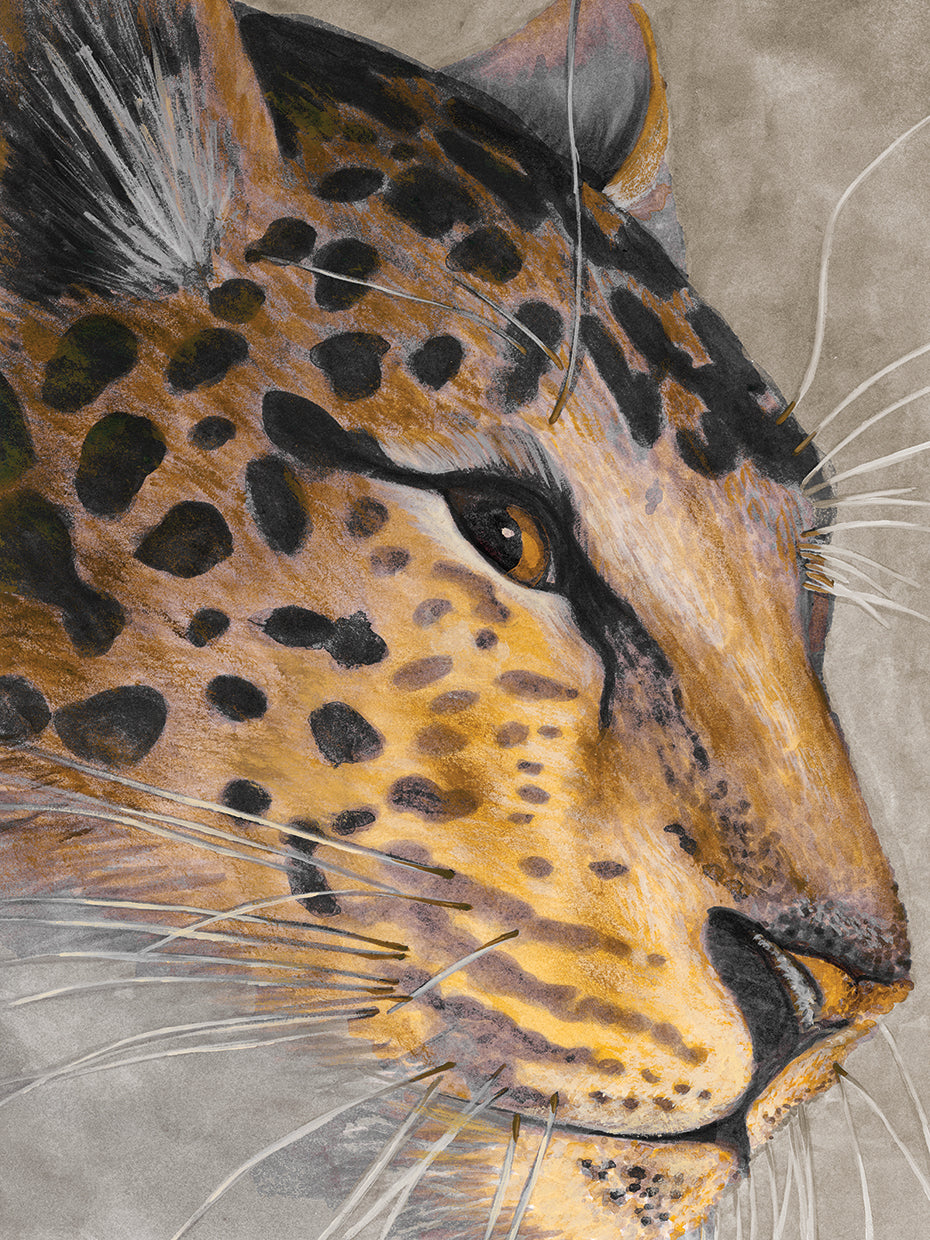 Leopardo V30 Lienzo