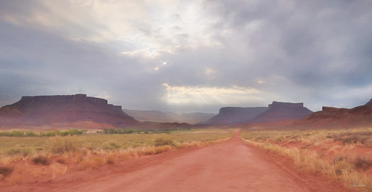 Colorado Country Roads