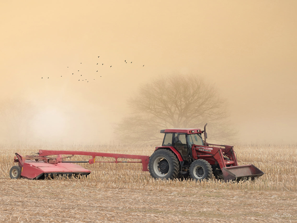 Foggy Morning in the Field