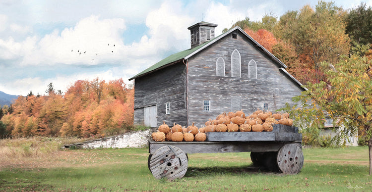 Fall Roadside Market