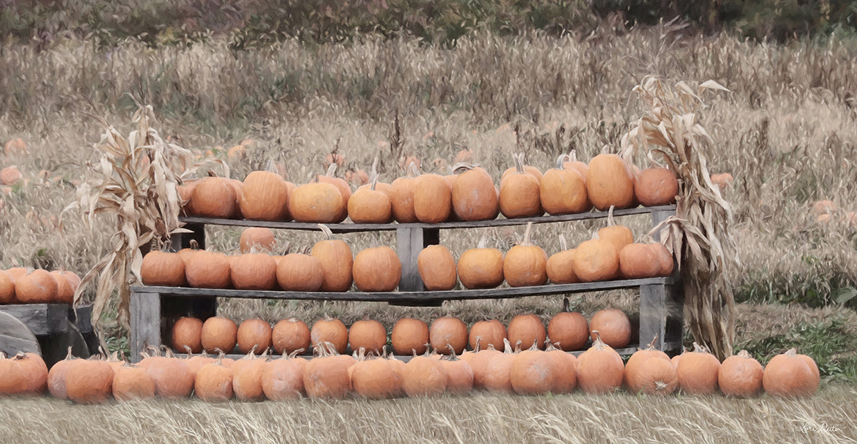 Cosecha de calabaza Lienzo