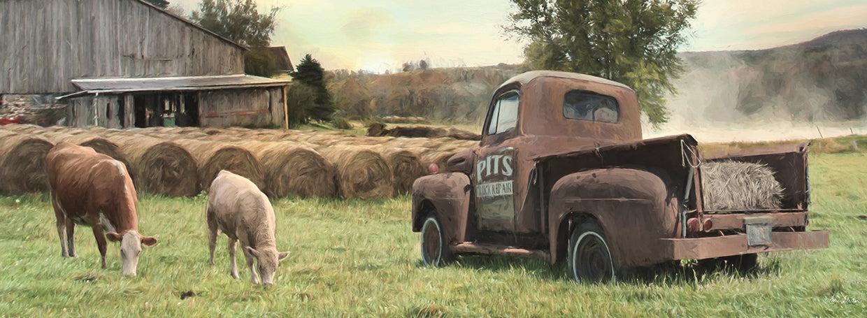 Tioga County Farmland