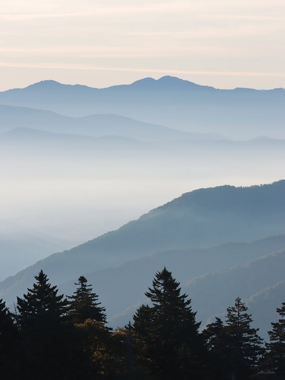 Misty Blue Mountains