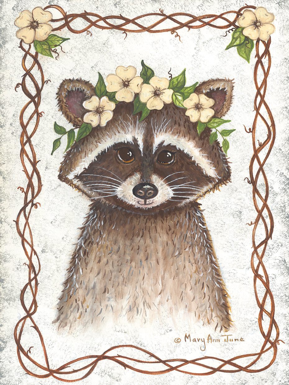 Raccoon