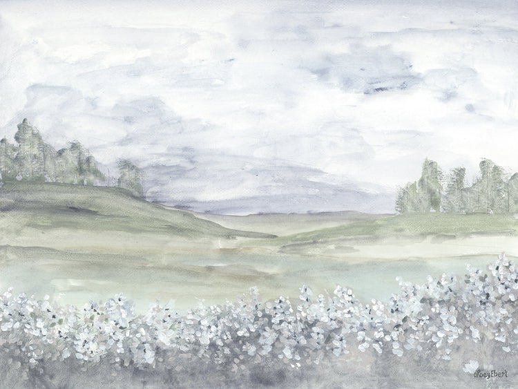 Meadow
