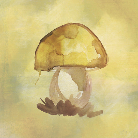 Treasured Mushroom Canvas Print