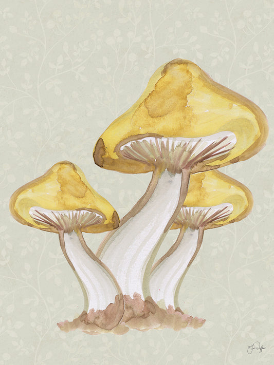 Calming Mushrooms Canvas Print