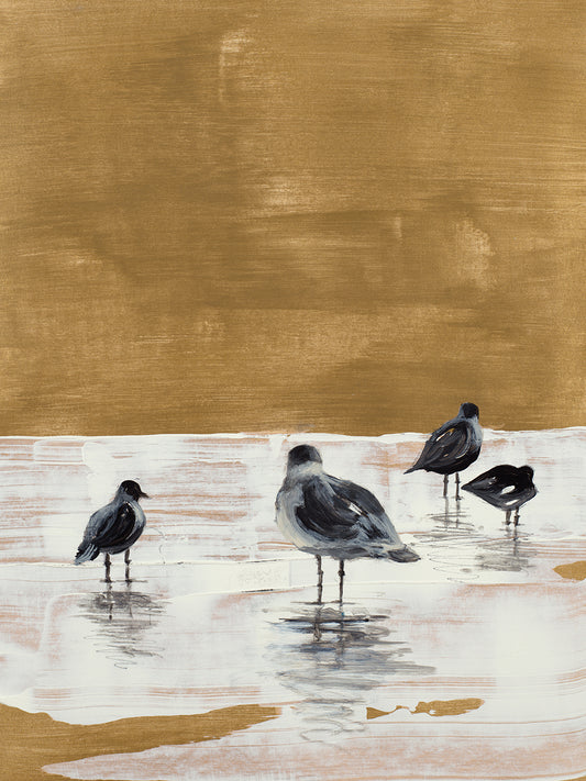 Seagulls Chillin' Canvas Print