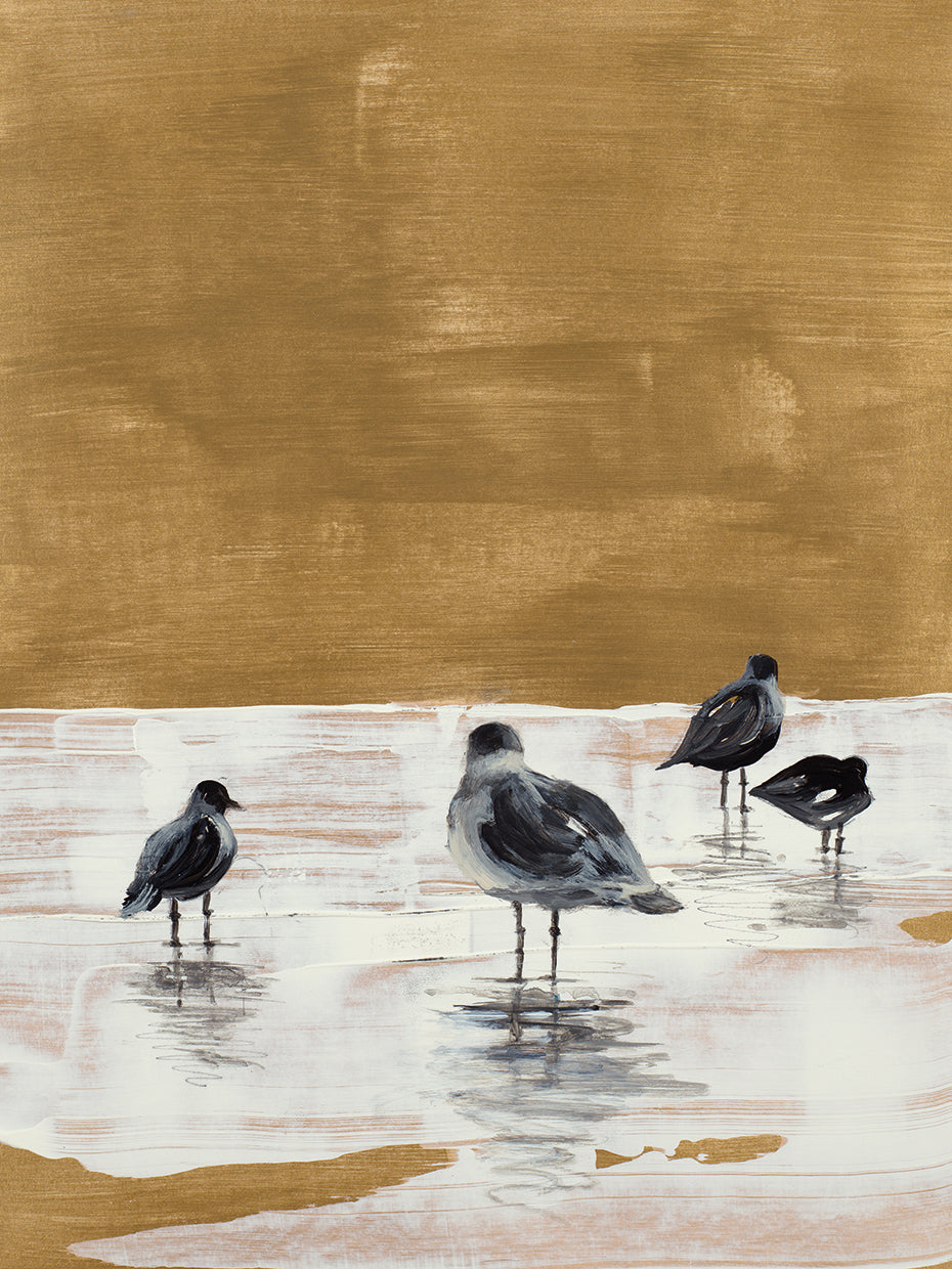 Seagulls Chillin'