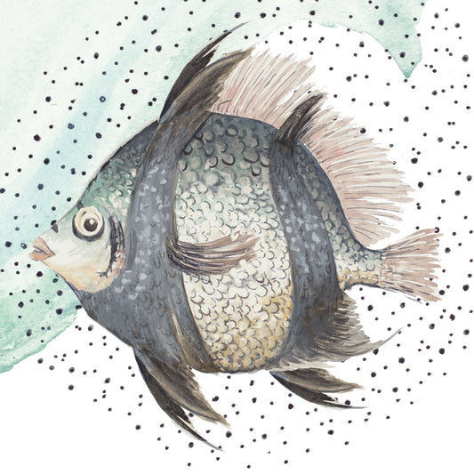 Coastal Fish I Canvas Print