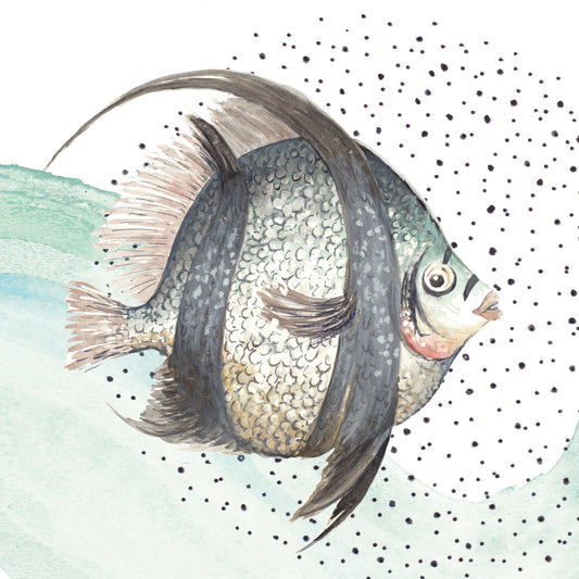 Coastal Fish II Canvas Print