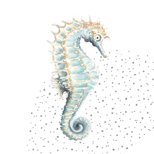 Turquoise Seahorse Canvas Print