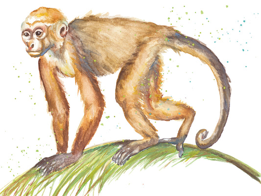 Monkeys in the Jungle II Canvas Print