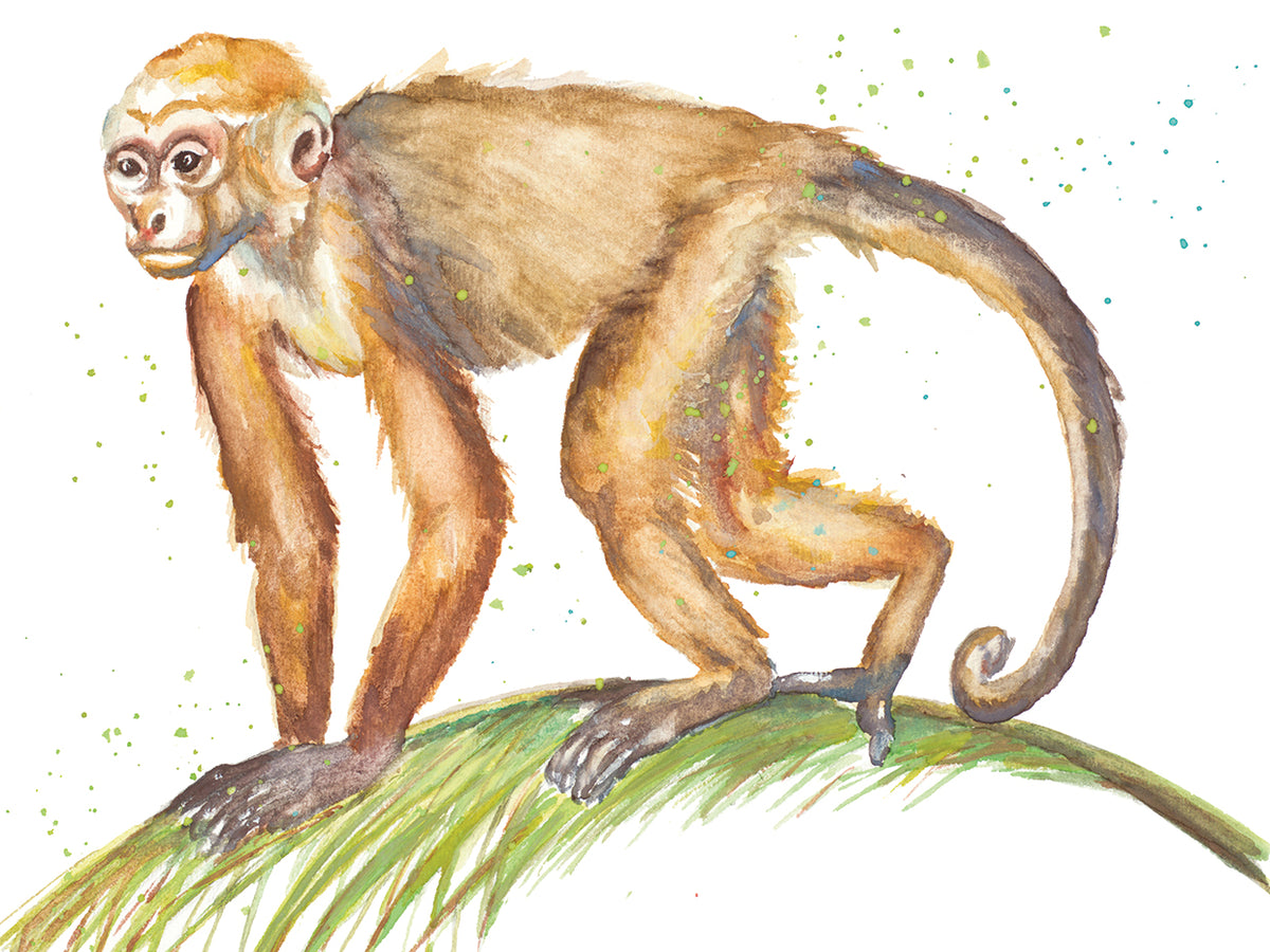 Monkeys in the Jungle II