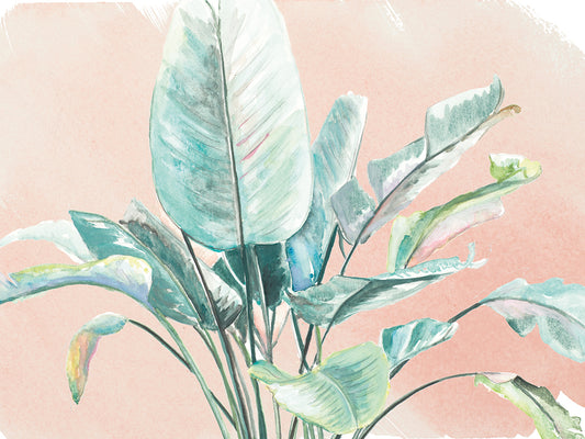 Jungle Gems on Blush II Canvas Print