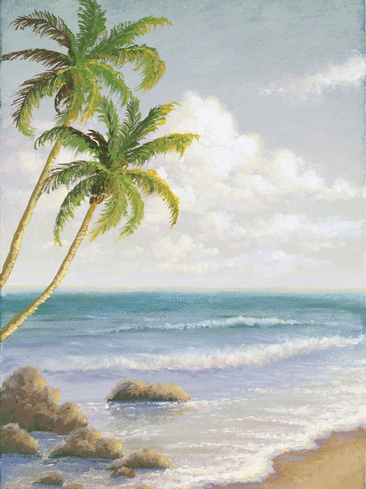 Atlantic Seaside I Canvas Print