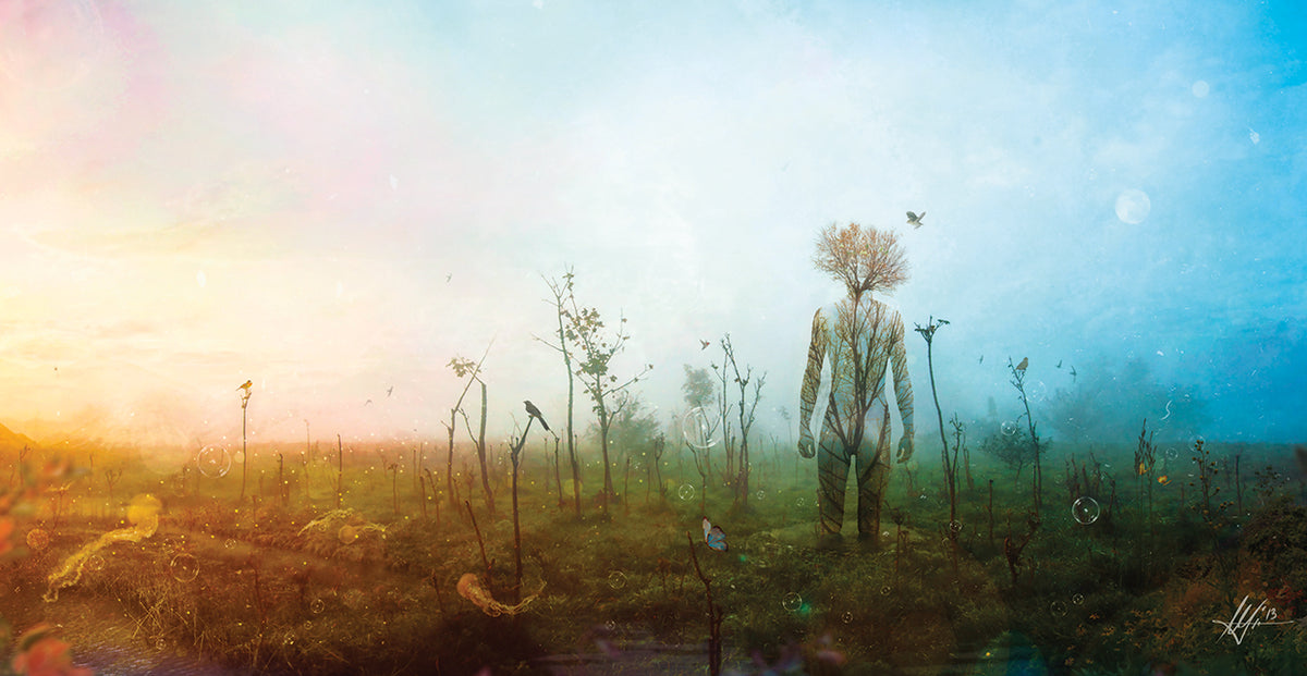 Internal Landscapes