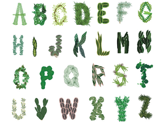 Plant Alphabet