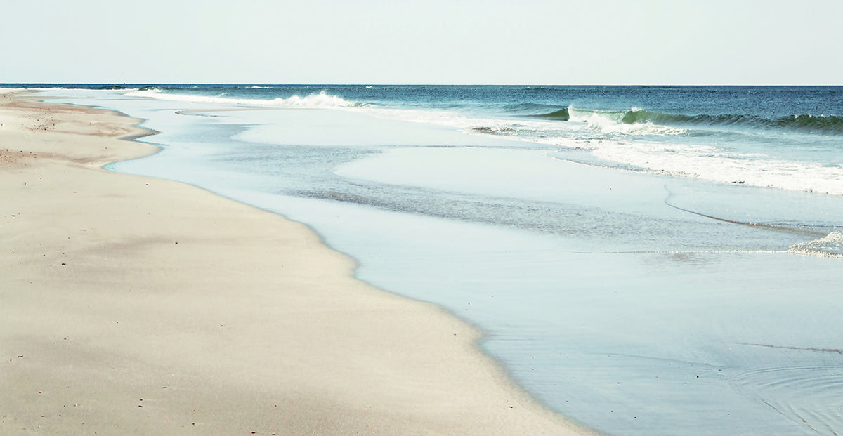 Walk The Shore