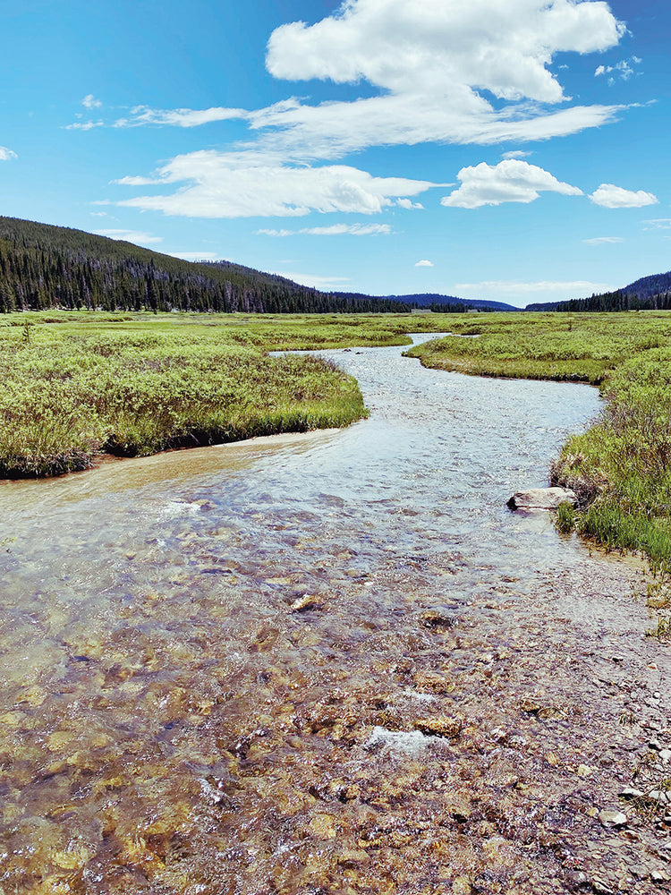 Rocky Stream
