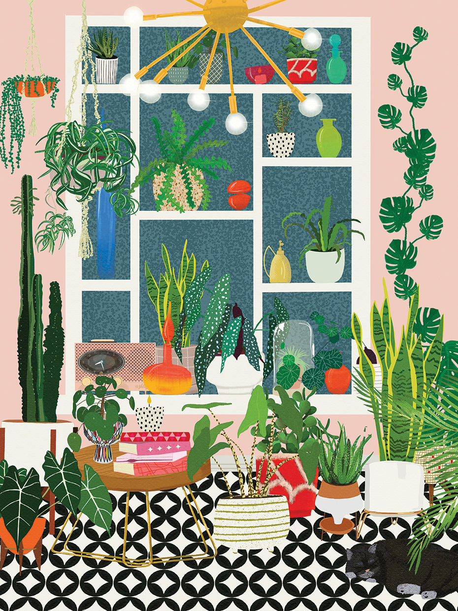 Plant Solarium with Cat