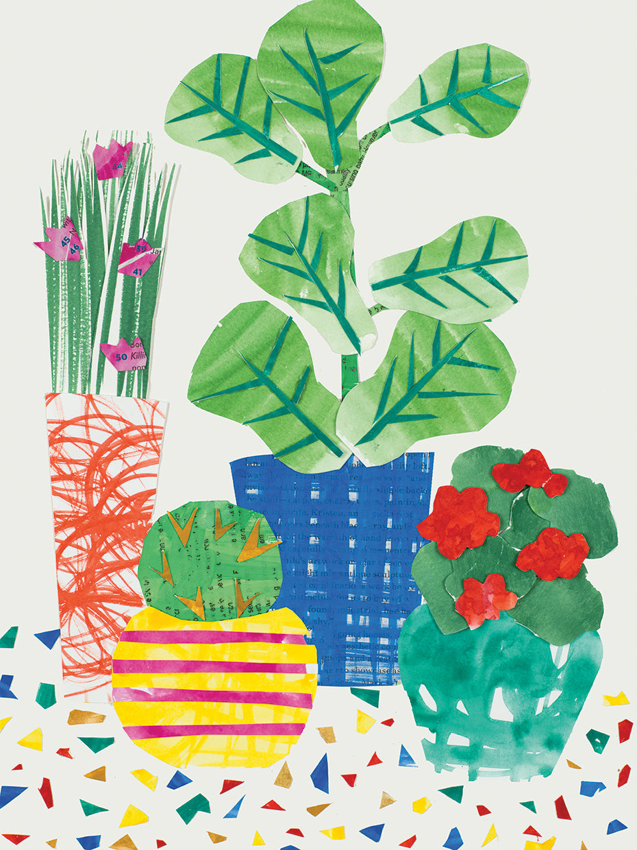 Patio Plants