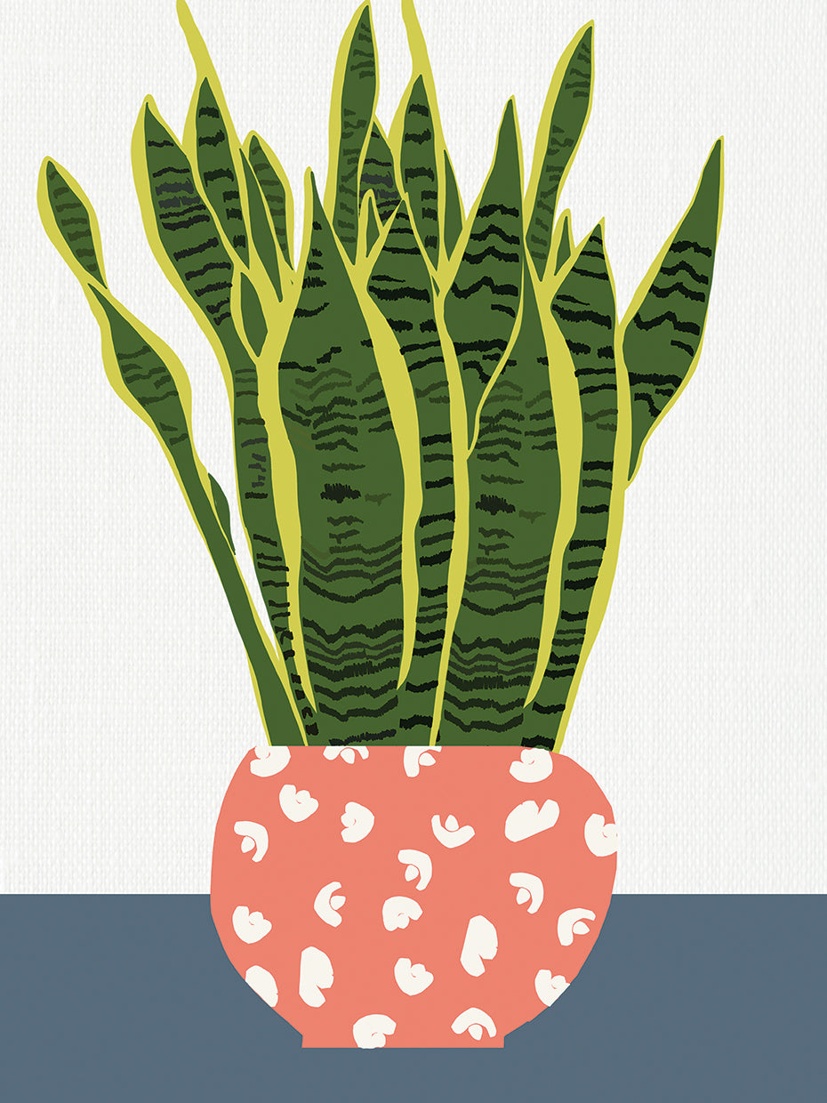 Potted Plant