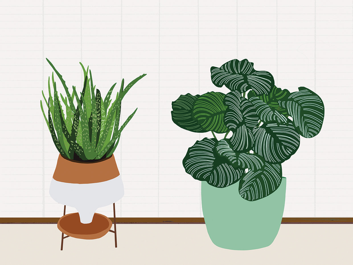 Potted Plant Friends II