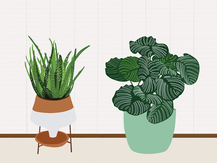 Potted Plant Friends II