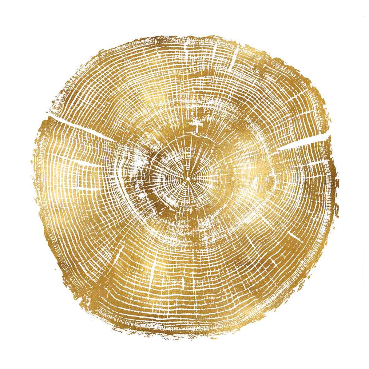 Timber Gold IV