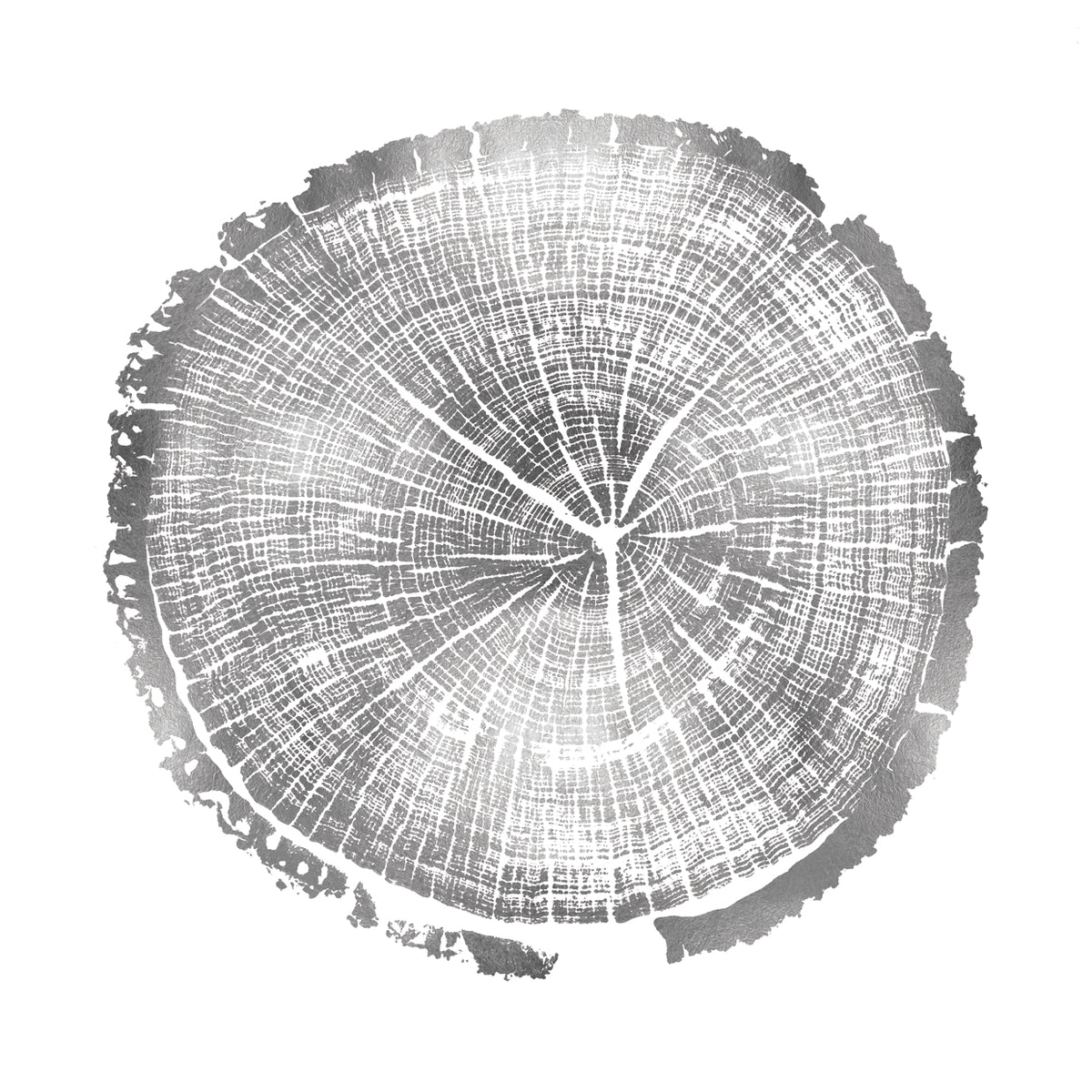 Timber Silver I