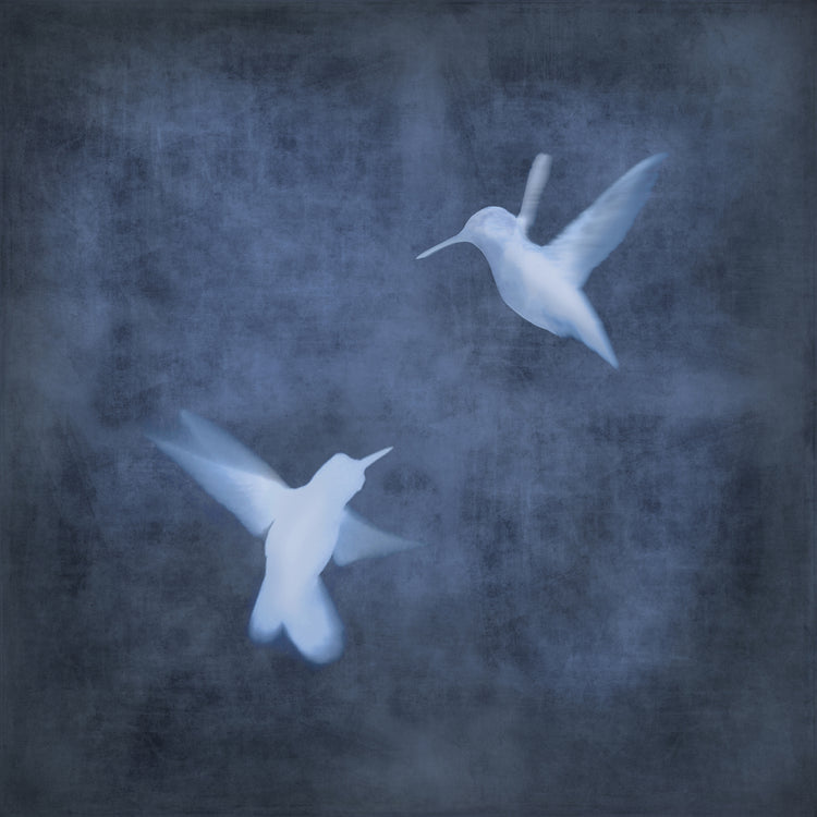 Vuelo en azul I Lienzo