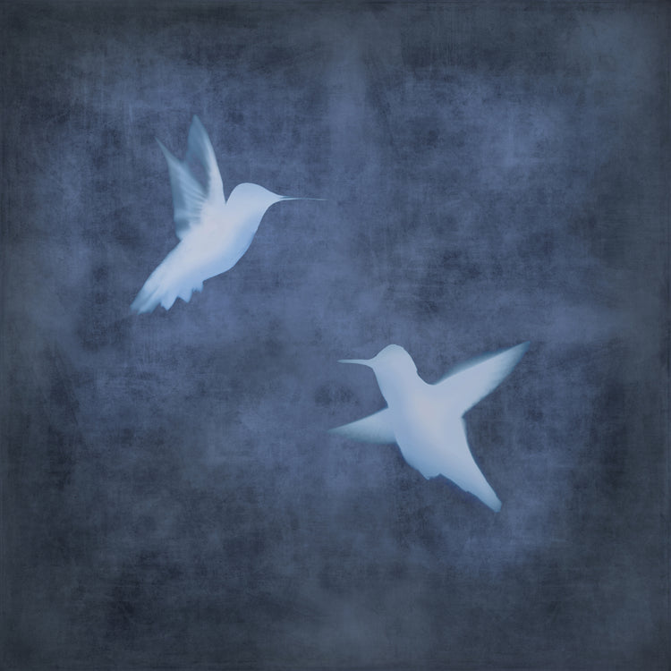 Vuelo en azul II Lienzo