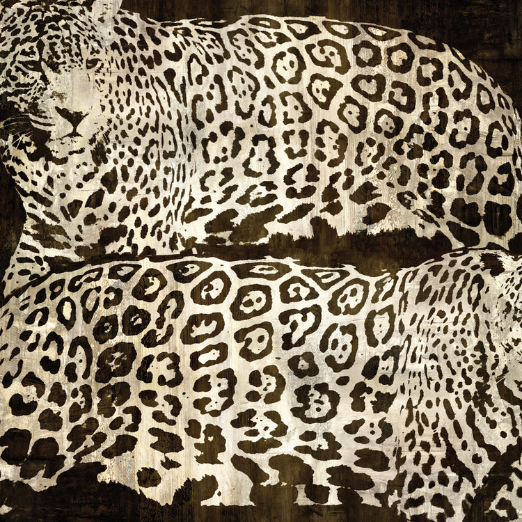 Leopardos Lienzo