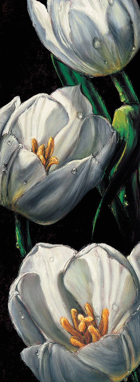 Dewdrop Tulips Canvas Print