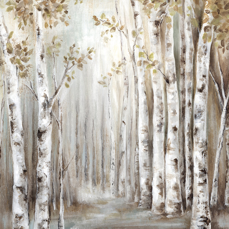 Sunset Birch Forest III - Exclusivo para Star Home Lienzo