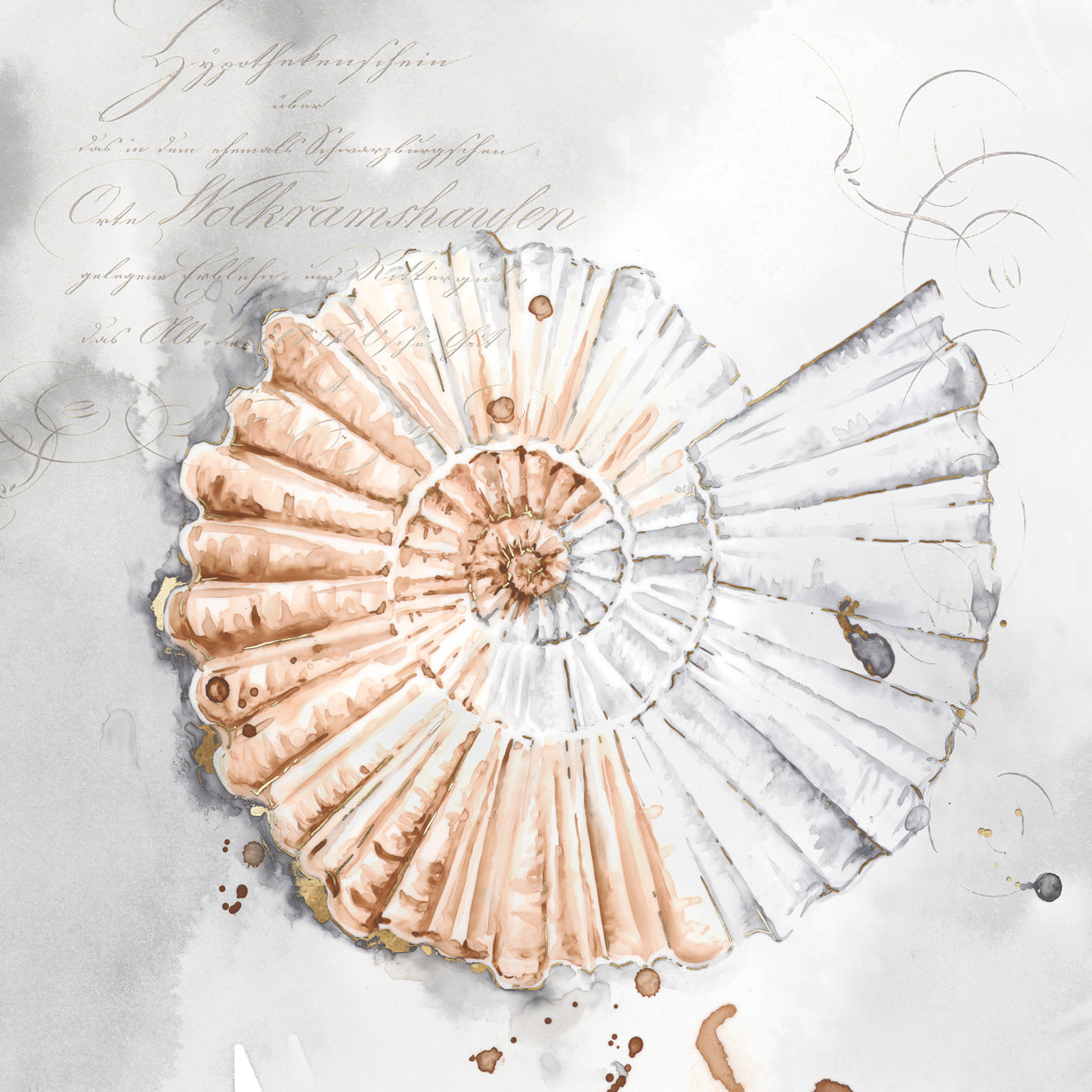 Blush Shell II