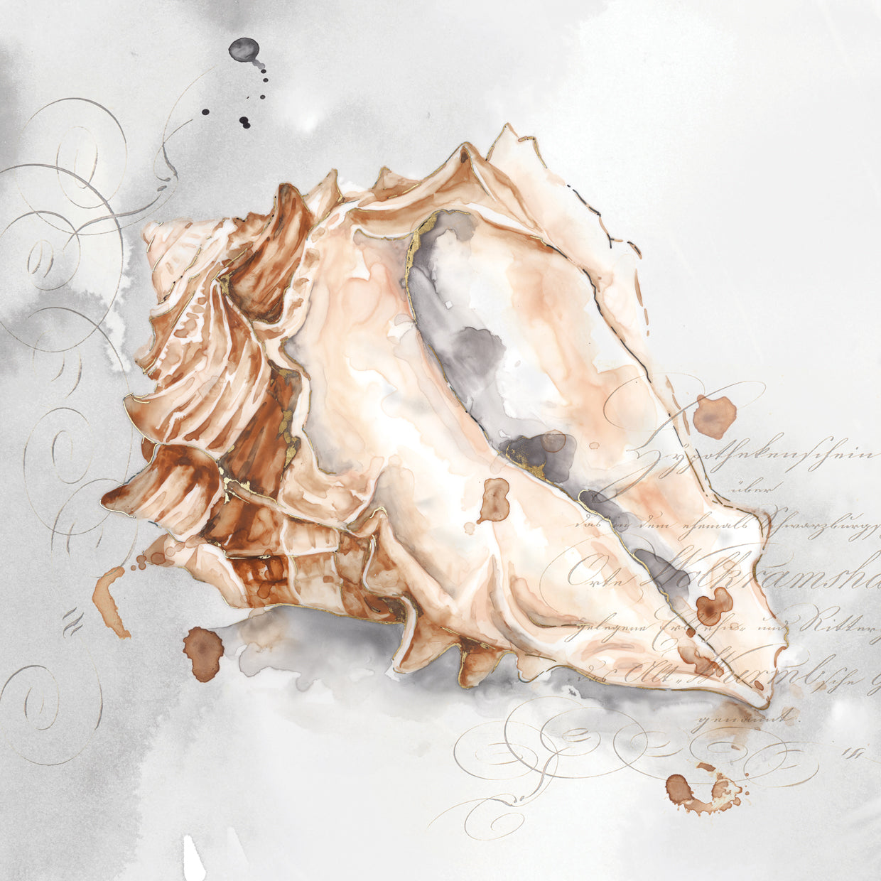 Blush Shell III