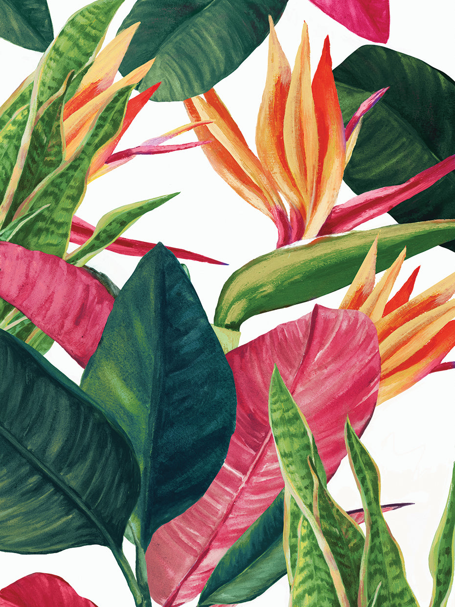 Eden's Tropical Palms