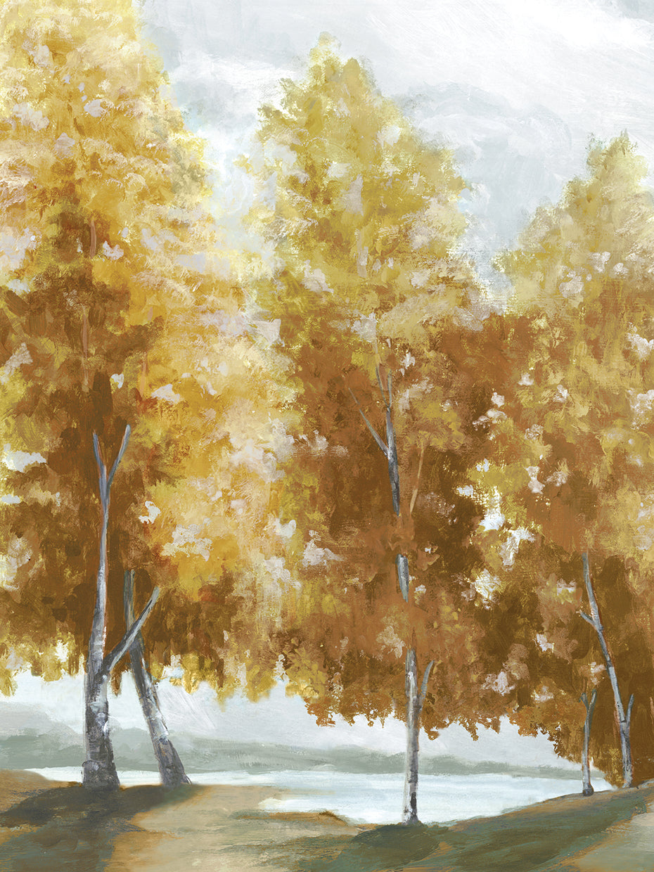 Árboles de colores de otoño Lienzo