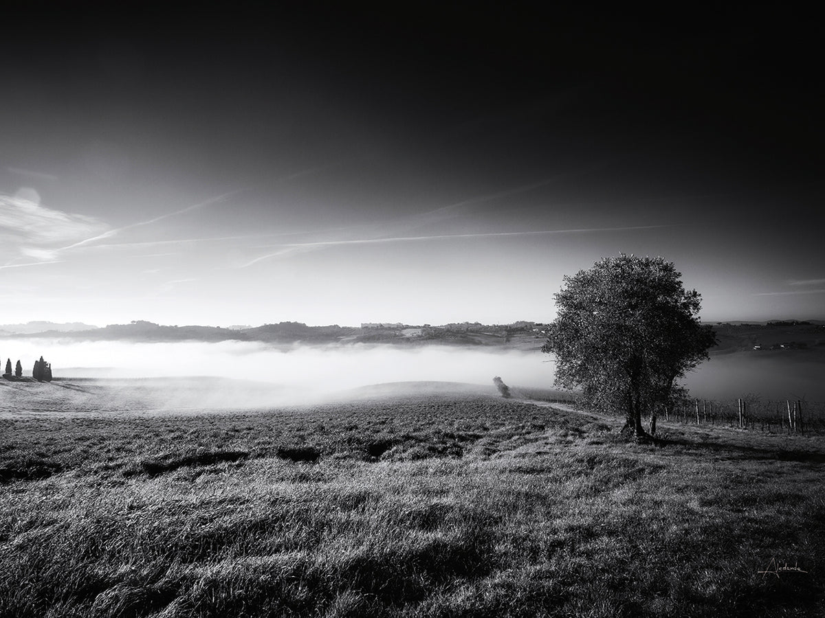 Valley Fog