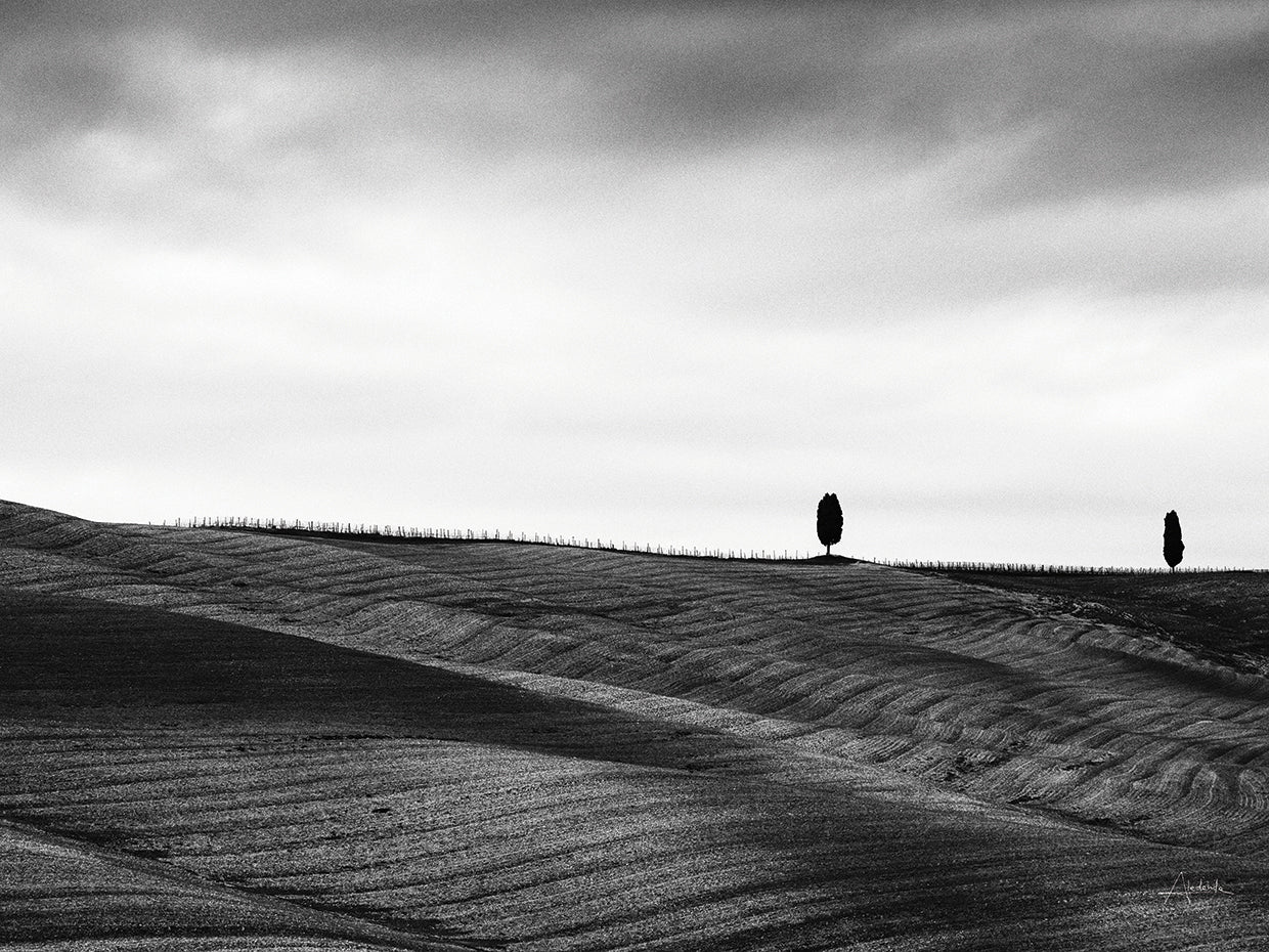 To the Horizon